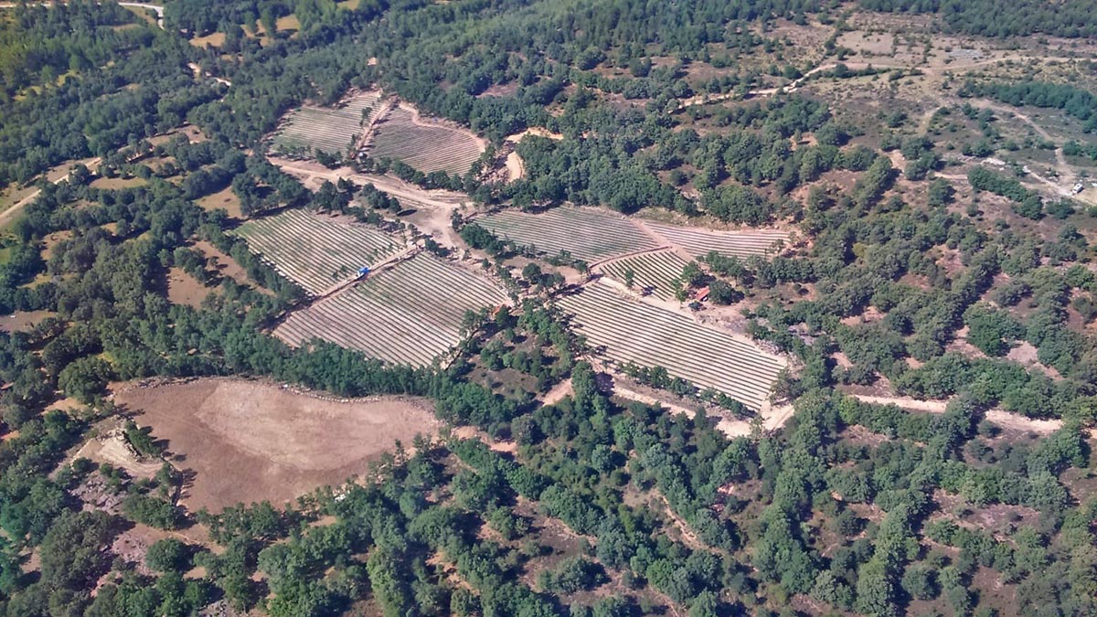 Foto aérea de nuestra plantación